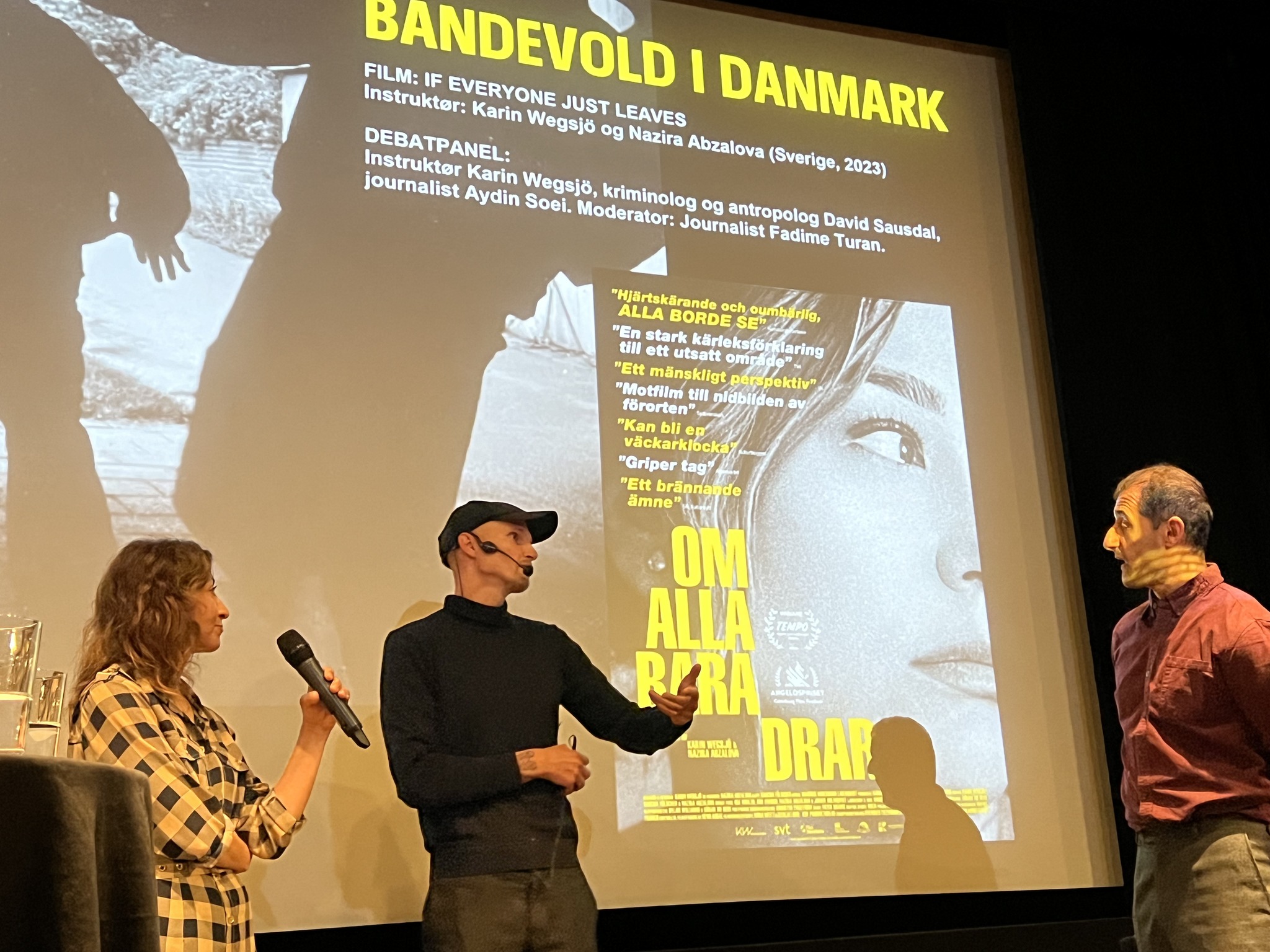 Visning i Danmark