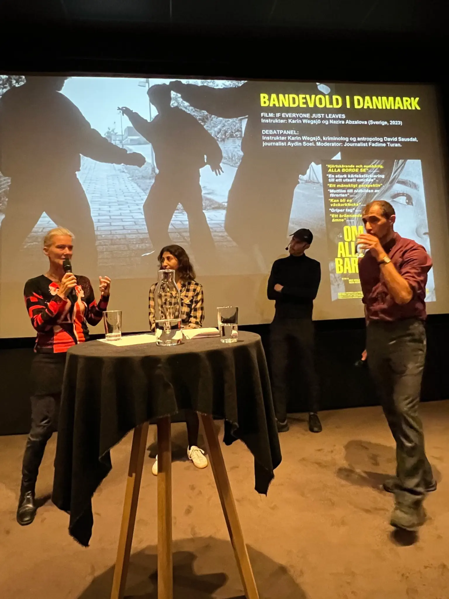 Visning i Danmark